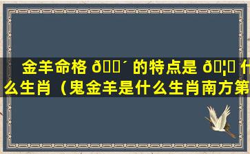 金羊命格 🐴 的特点是 🦈 什么生肖（鬼金羊是什么生肖南方第二宿）